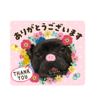 paco 2020（個別スタンプ：3）