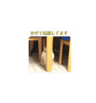 りゅうNo.3（個別スタンプ：3）