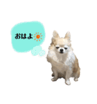 りゅうNo.3（個別スタンプ：6）