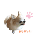 りゅうNo.3（個別スタンプ：8）