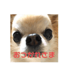 りゅうNo.3（個別スタンプ：10）