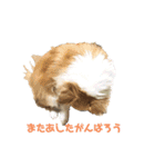 りゅうNo.3（個別スタンプ：15）