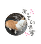 大好きなはるへ（個別スタンプ：2）