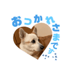 大好きなはるへ（個別スタンプ：3）