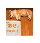 大好きなはるへ（個別スタンプ：7）
