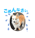 大好きなはるへ（個別スタンプ：14）