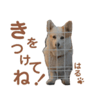 大好きなはるへ（個別スタンプ：16）