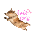 大好きなはるへ（個別スタンプ：19）