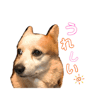 大好きなはるへ（個別スタンプ：26）