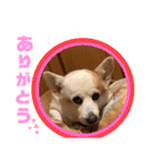 大好きなはるへ（個別スタンプ：27）