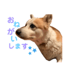 大好きなはるへ（個別スタンプ：28）
