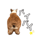 大好きなはるへ（個別スタンプ：32）