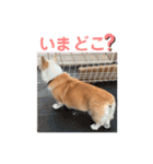 大好きなはるへ（個別スタンプ：33）