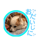 大好きなはるへ（個別スタンプ：36）