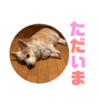 大好きなはるへ（個別スタンプ：37）