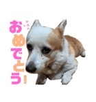 大好きなはるへ（個別スタンプ：39）