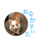 大好きなはるへ（個別スタンプ：40）