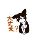 ベルシス♢ ✖︎カマロくんスタンプ（個別スタンプ：3）