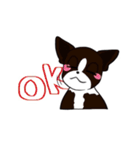 ベルシス♢ ✖︎カマロくんスタンプ（個別スタンプ：16）