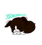 ベルシス♢ ✖︎カマロくんスタンプ（個別スタンプ：24）