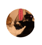 ねこの気持ち 女の子編（個別スタンプ：2）