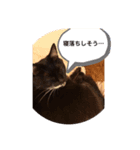 ねこの気持ち 女の子編（個別スタンプ：8）