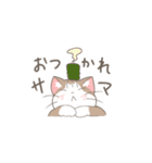 待ち合わせと日常のねこさん。（個別スタンプ：17）