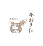 待ち合わせと日常のねこさん。（個別スタンプ：25）