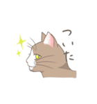 待ち合わせと日常のねこさん。（個別スタンプ：37）