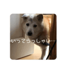 気まぐれモモ子の日常（個別スタンプ：14）