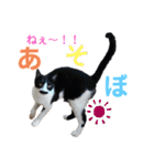 もみじ時々、あさり（個別スタンプ：1）