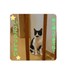もみじ時々、あさり（個別スタンプ：7）