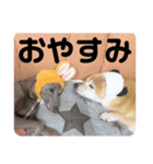 パティー＆ベル（個別スタンプ：5）