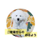 殿若8（個別スタンプ：2）