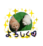 殿若8（個別スタンプ：4）
