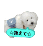 殿若8（個別スタンプ：7）