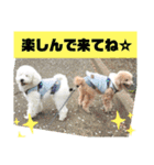 殿若8（個別スタンプ：8）