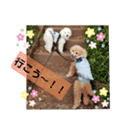 殿若8（個別スタンプ：9）