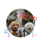 殿若8（個別スタンプ：14）