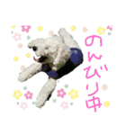 殿若8（個別スタンプ：16）