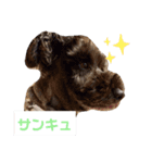 ゼオと藤丸（個別スタンプ：6）