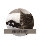 うちの猫chan（個別スタンプ：14）