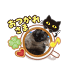 うちの猫chan（個別スタンプ：22）