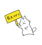 いどねこさん3（個別スタンプ：5）