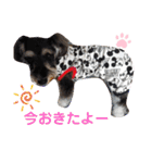 りーちゃんの日常会話（個別スタンプ：3）