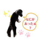 りーちゃんの日常会話（個別スタンプ：8）