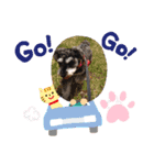 りーちゃんの日常会話（個別スタンプ：13）