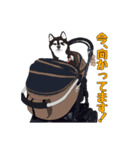 柴犬フェイフォン（個別スタンプ：2）