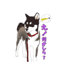 柴犬フェイフォン（個別スタンプ：3）