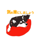 柴犬フェイフォン（個別スタンプ：4）